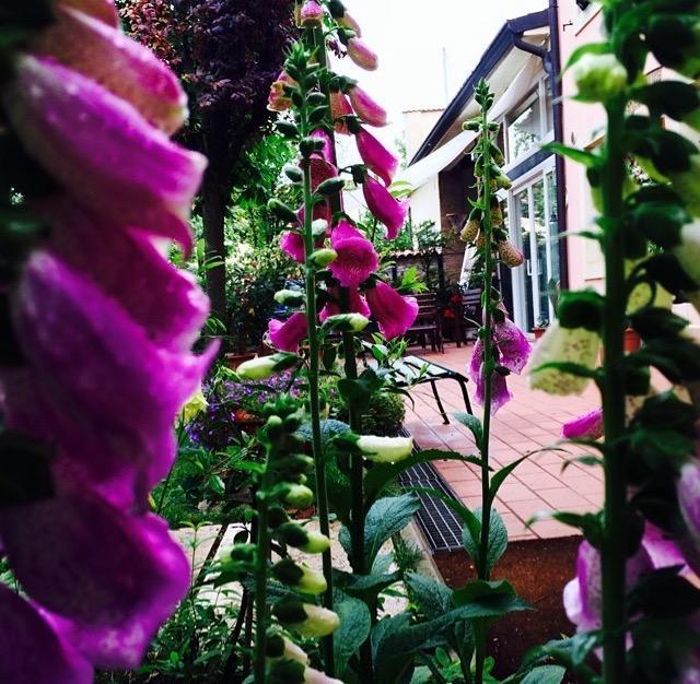 Bed And Breakfast Villa Franca Villafranca di Verona Buitenkant foto